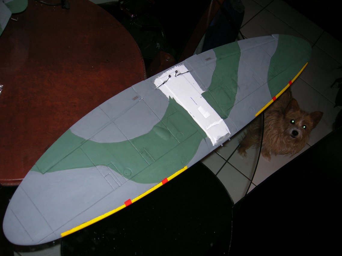 DSCN3309.jpg