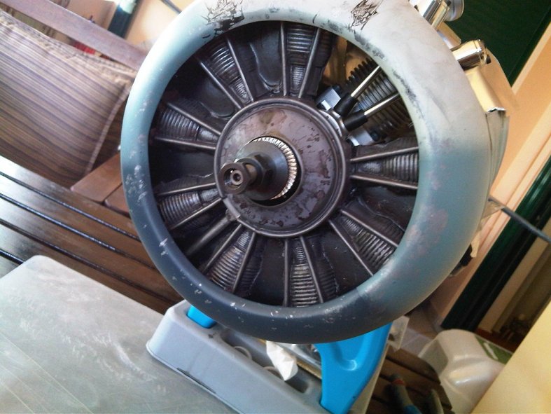 IMG00195-20120508-0757_50.jpg
