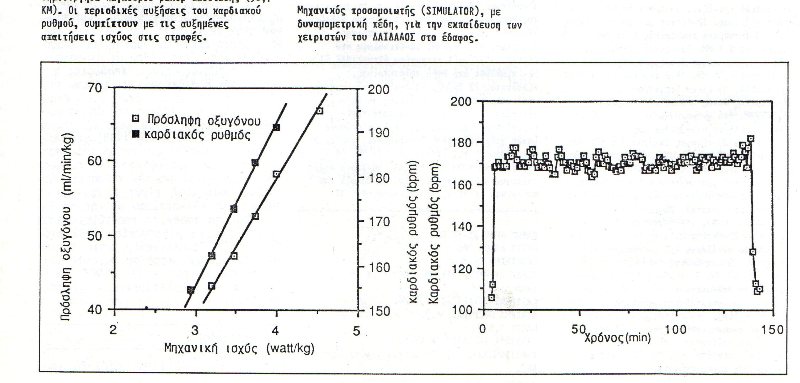 8b.jpg