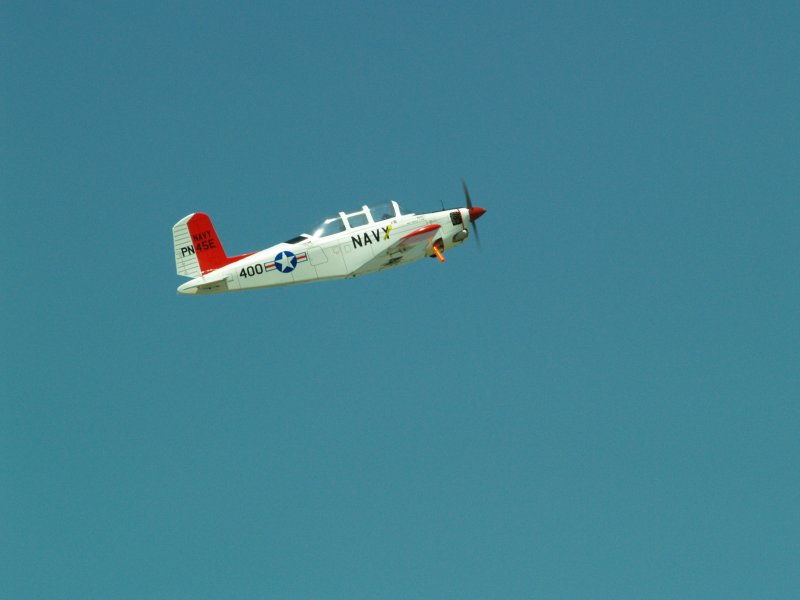 P5100267.jpg