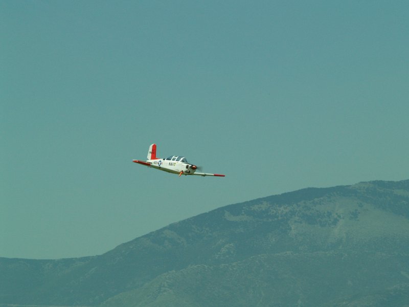 P5100272.jpg