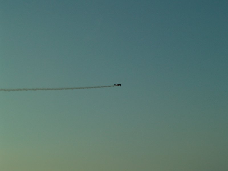 P5300346.jpg