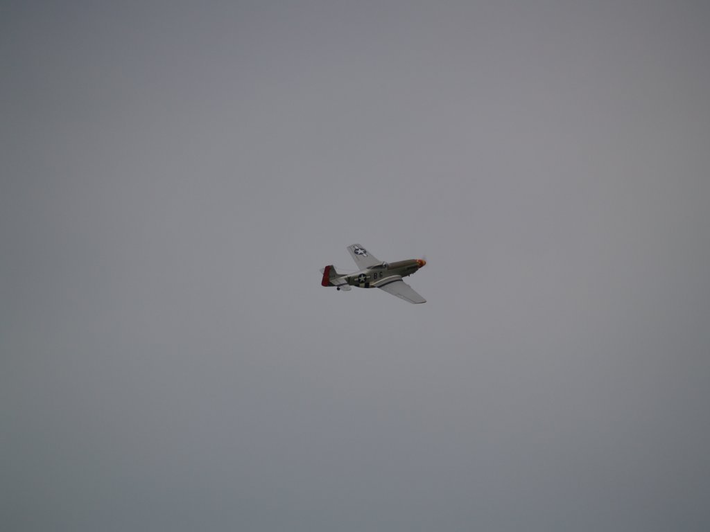 P4180052.jpg