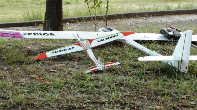 DSC00124 (Large).jpg