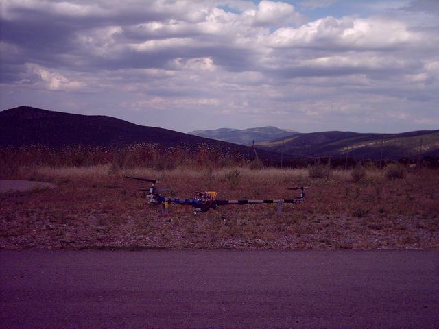 k.tithorea_11b 006.jpg