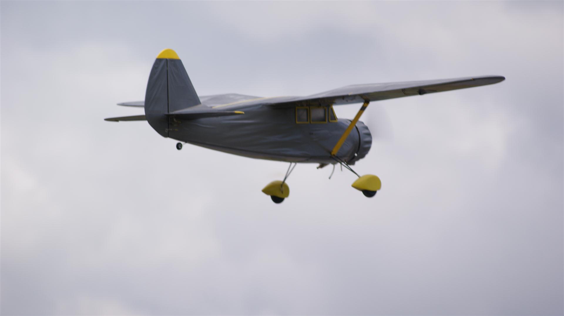 DSC09291 (Large).JPG