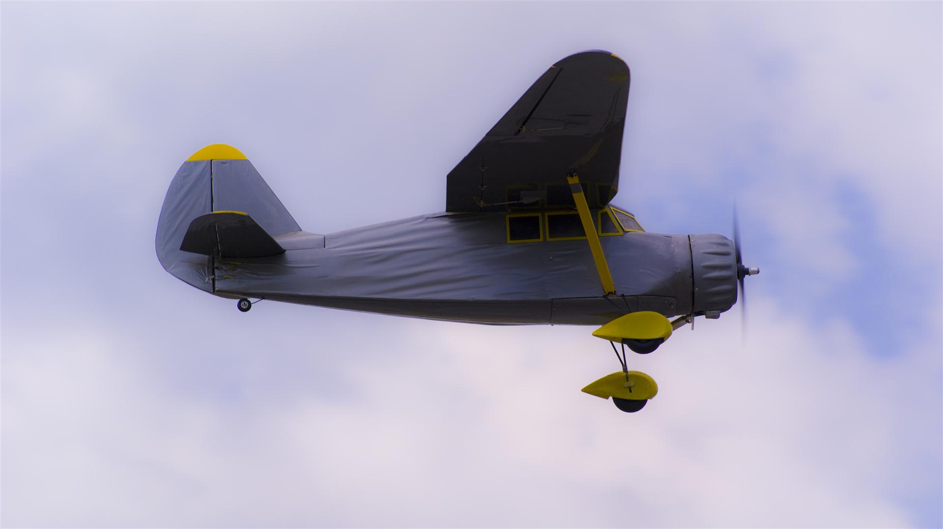 DSC09296 (Large).JPG