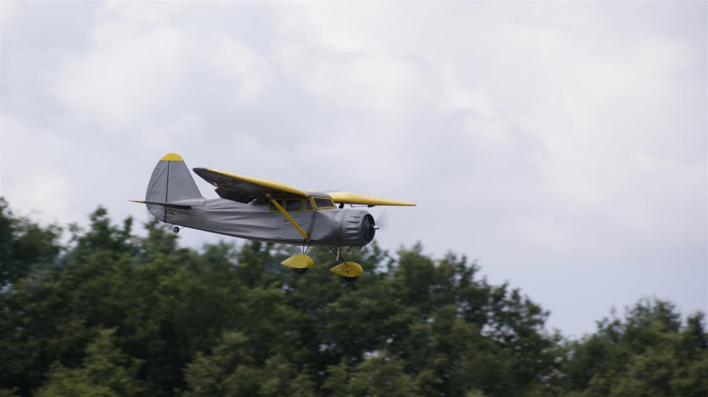 DSC09300 (Large).jpg