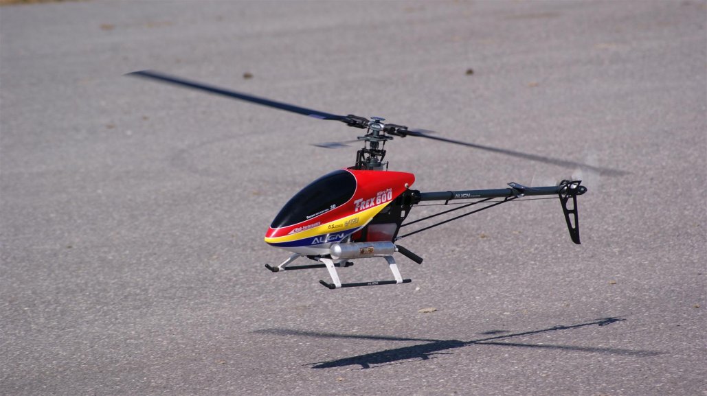 DSC09112 (Large).jpg