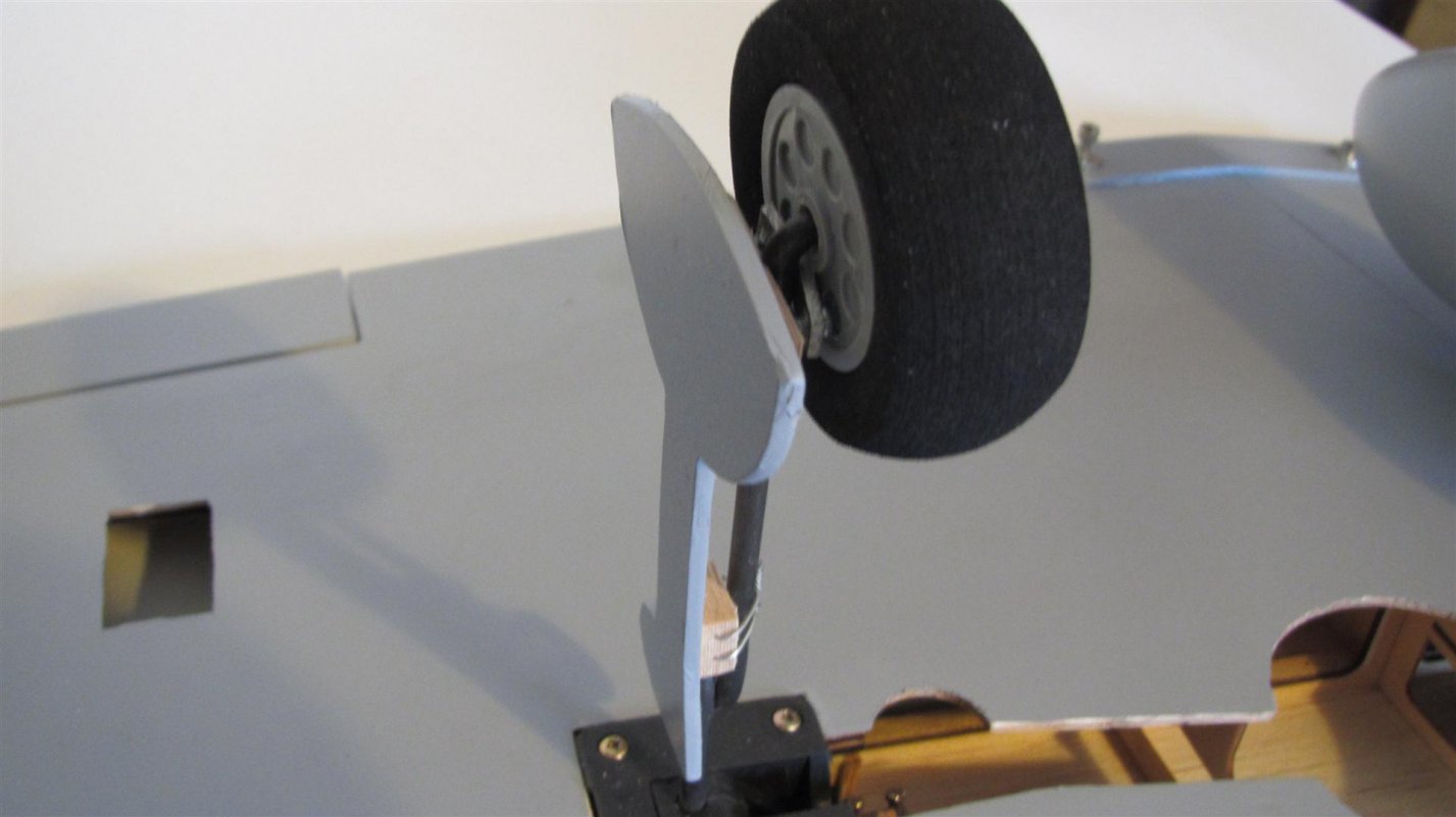 CMP ZERO Wing (4).jpg