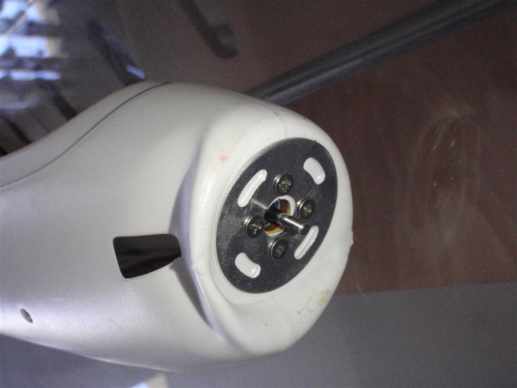 P3020110 (Medium).JPG
