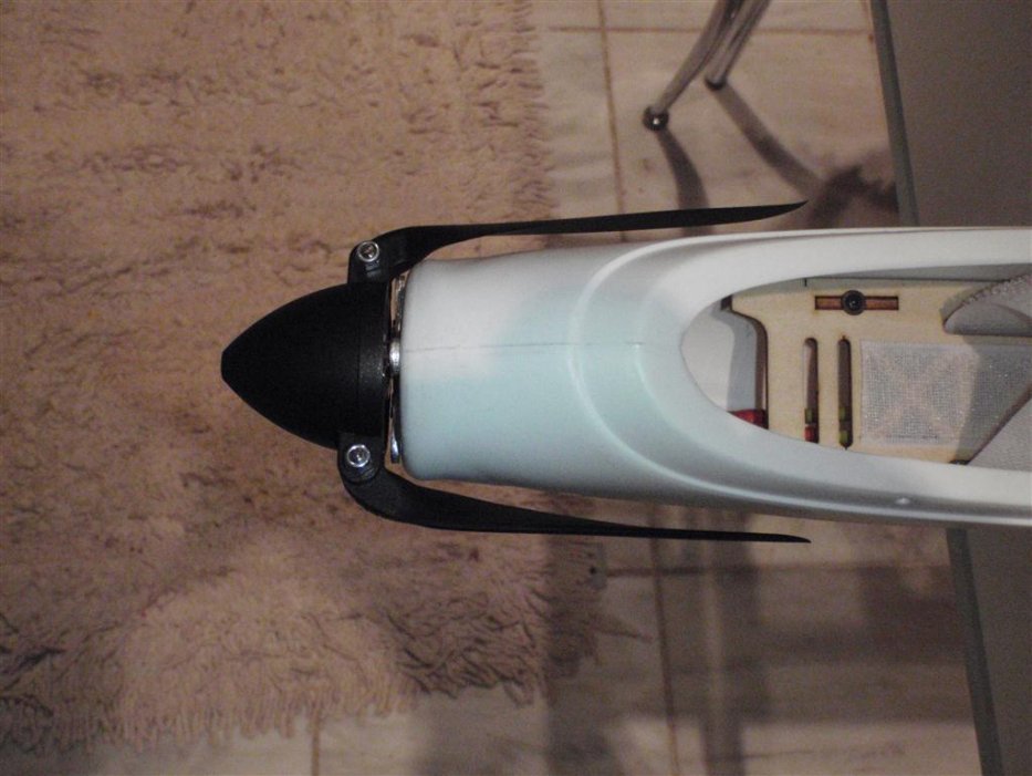 P3020112 (Medium).jpg