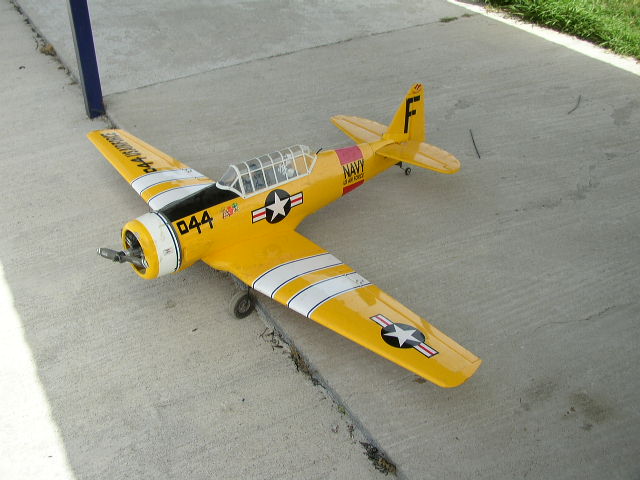 P4190169.JPG