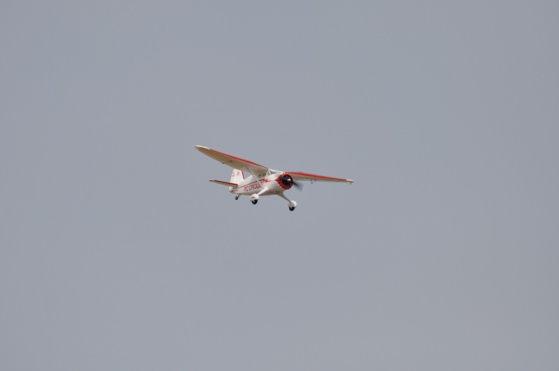 DSC_3332 (Custom).JPG