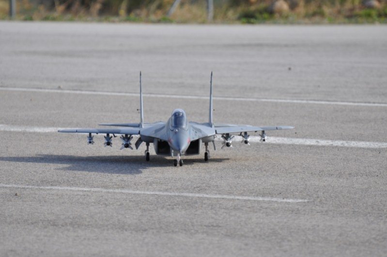 DSC_2860 (Custom).jpg