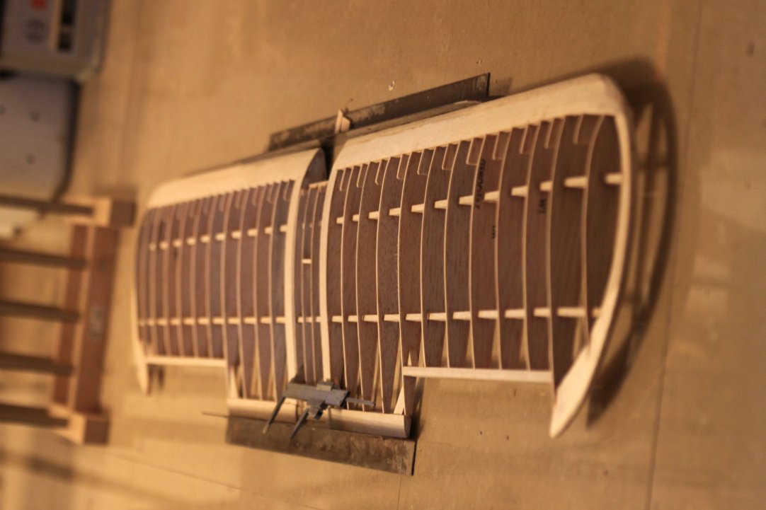 IMG_7158Alexander Nikolakopoulos28_02_2012.jpg