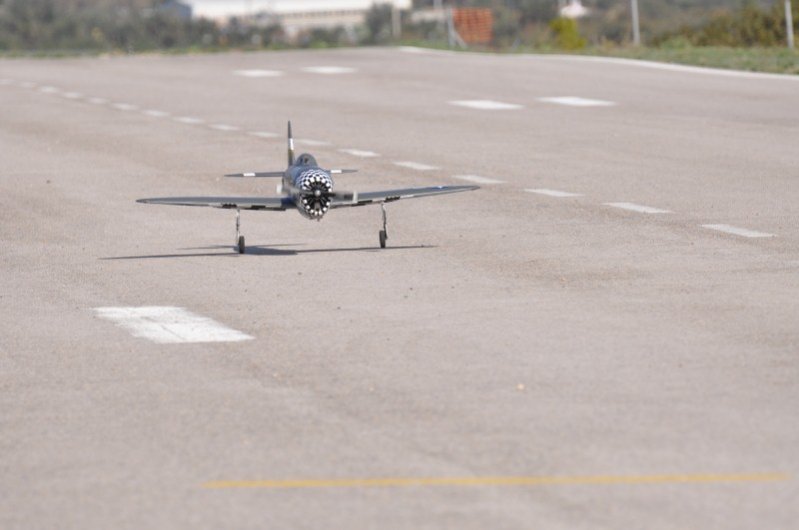 DSC_2954 (Custom).jpg