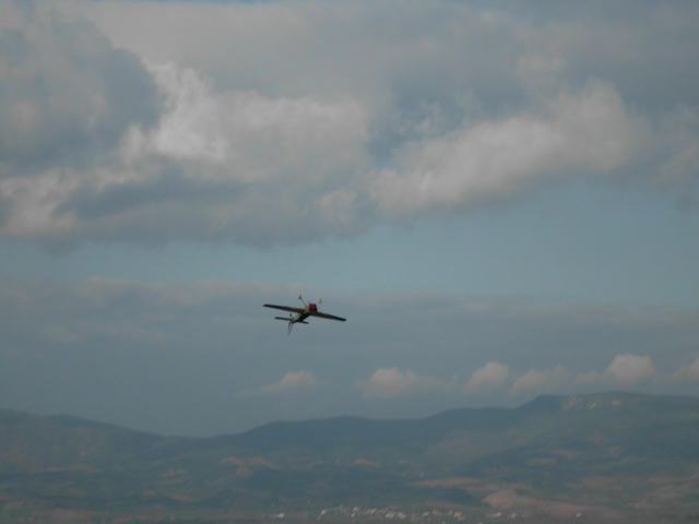 tithorea_11_012a (53).JPG