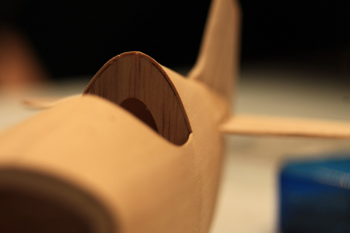 IMG_9517Alexander Nikolakopoulos16_01_2013.jpg