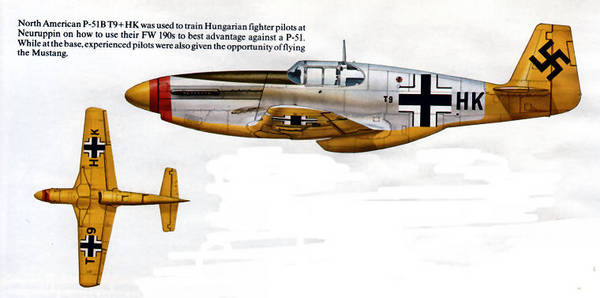 P51B T9 HK(1).jpg