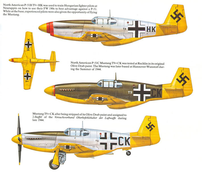 P51B T9 HK(2).jpg