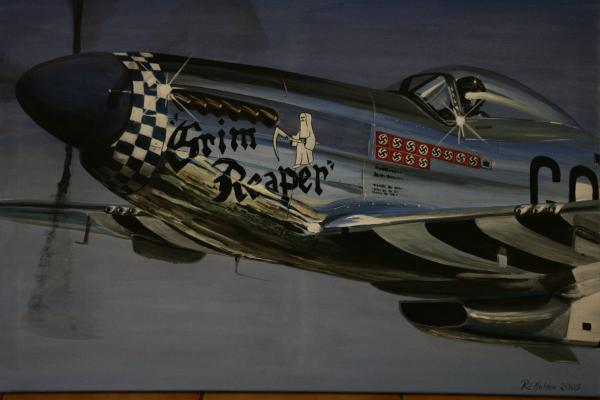 p51d-mustang-grim-reaper-warbird-richard-john-holden.jpg