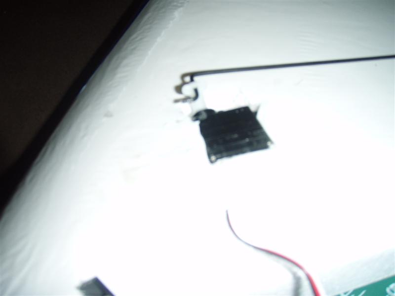 Picture 006 (Medium).jpg