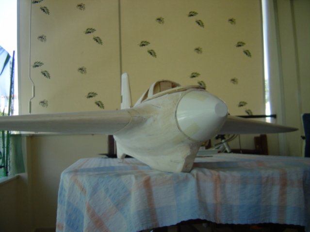 DSC00296.jpg