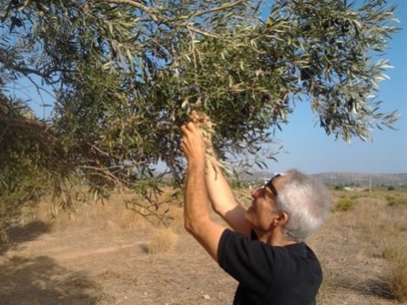 2013-10-13 16.32.11 1.jpg