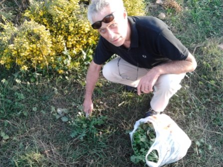 2013-10-13 18.03.17 1.jpg