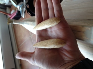 photo 1.JPG