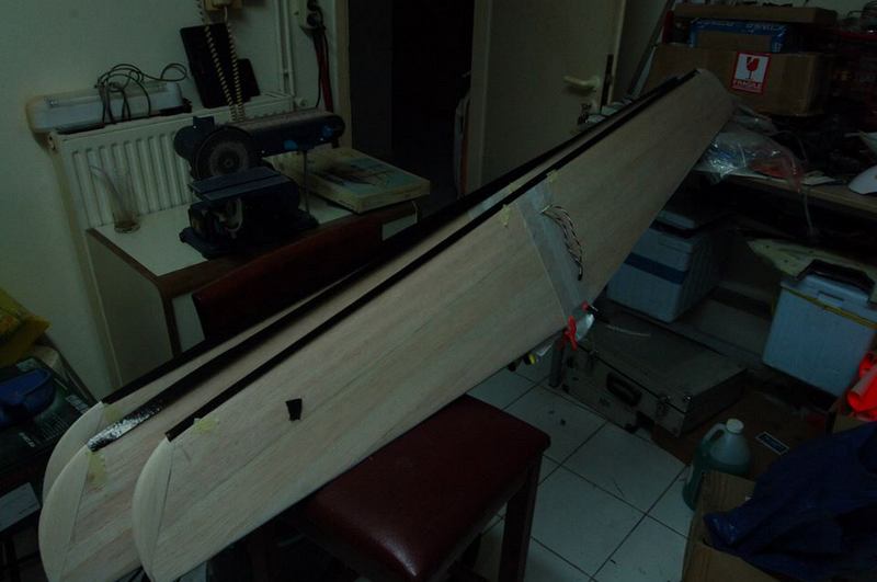 VAMPIRE NEW 1 (1).jpg