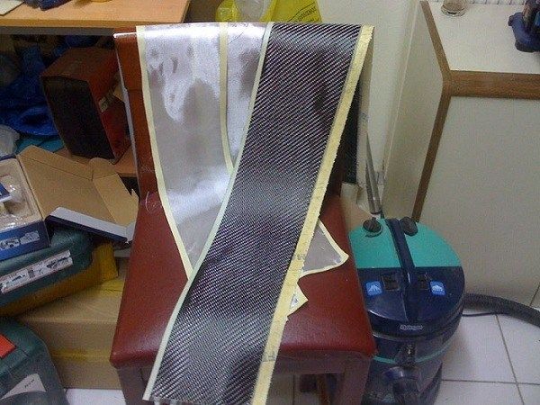 vampire canopy (1).jpg