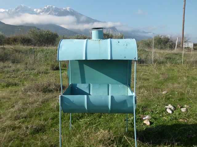 Tithorea-Pita-2014 (11).JPG