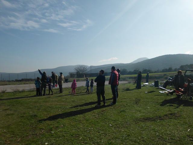 Tithorea-Pita-2014 (29).JPG