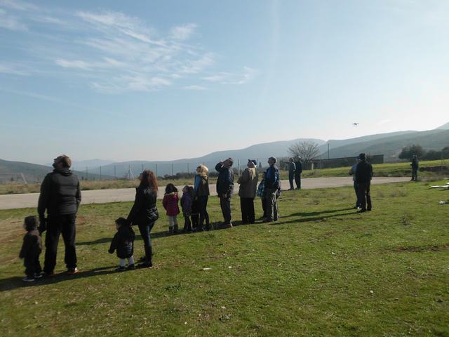 Tithorea-Pita-2014 (45).JPG