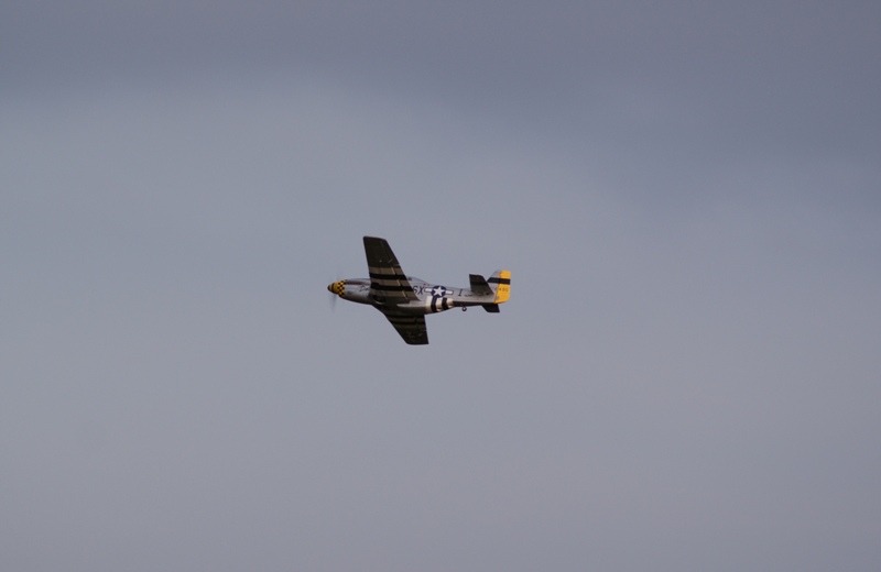 DSC00947.JPG