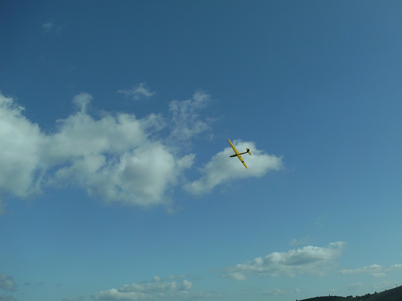 FILE1364.JPG