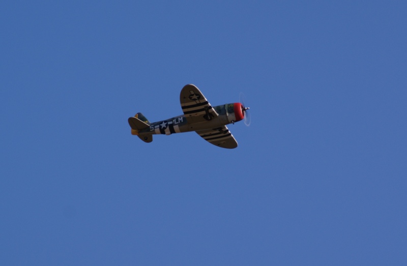 DSC00228.JPG