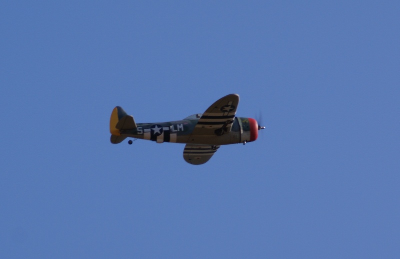 DSC00229.JPG