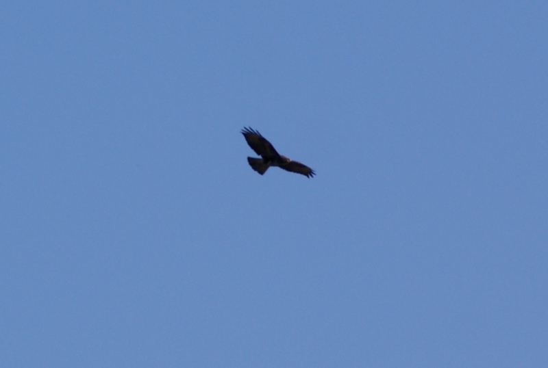 DSC00234.JPG