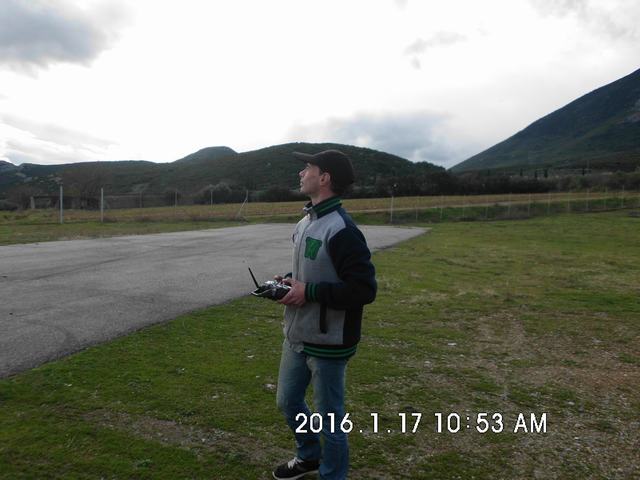 Tithorea_Pita_16 (20).JPG