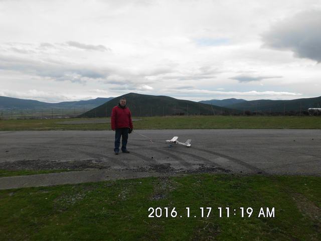 Tithorea_Pita_16 (30).JPG