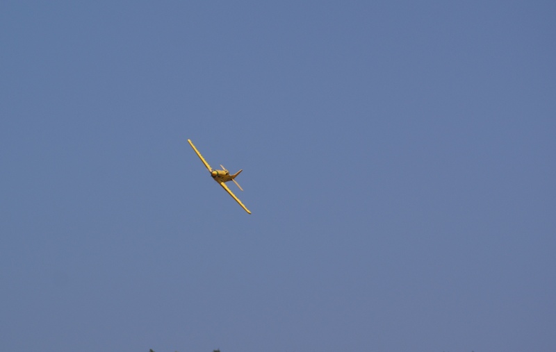 DSC00200.JPG