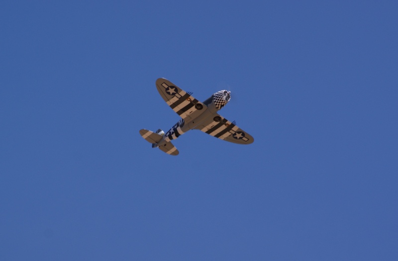 DSC00602.JPG