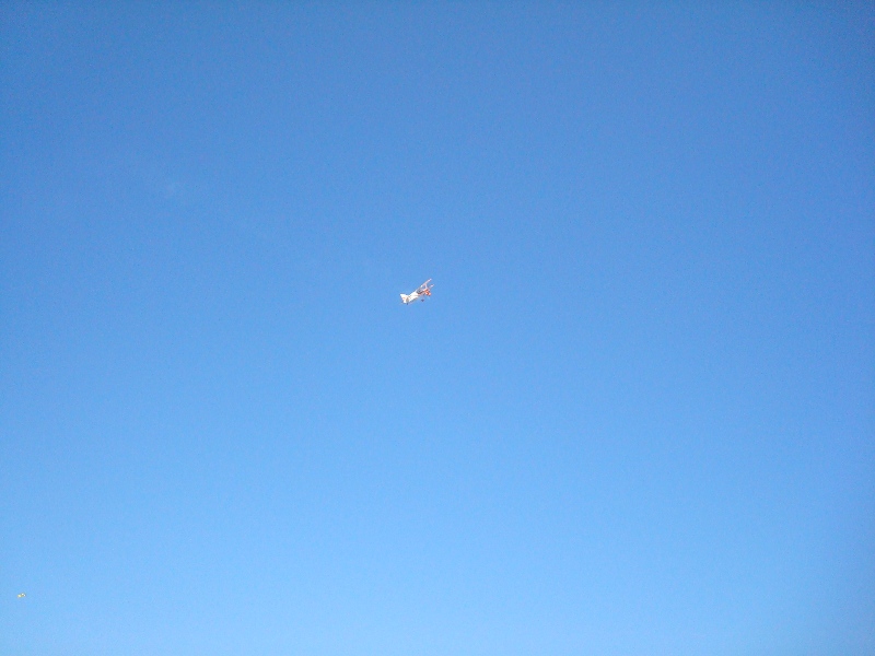 DSC09175.JPG