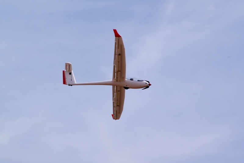 DSC01442.JPG