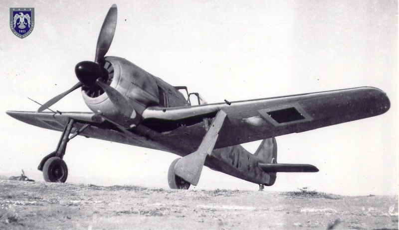 turkey -fockew  ## (1).jpg