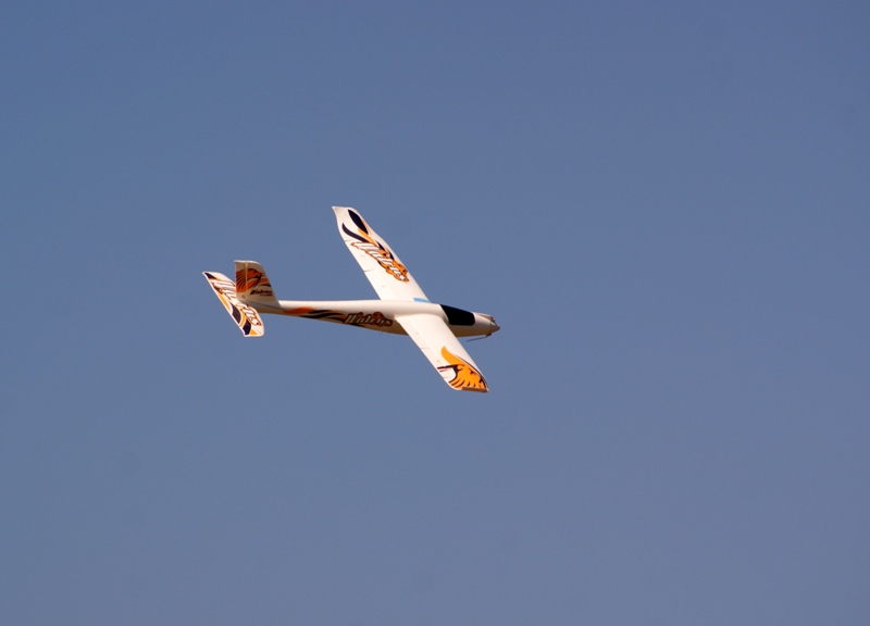 DSC02553.JPG