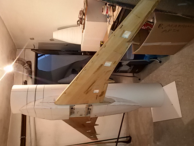 20200331_160858.jpg